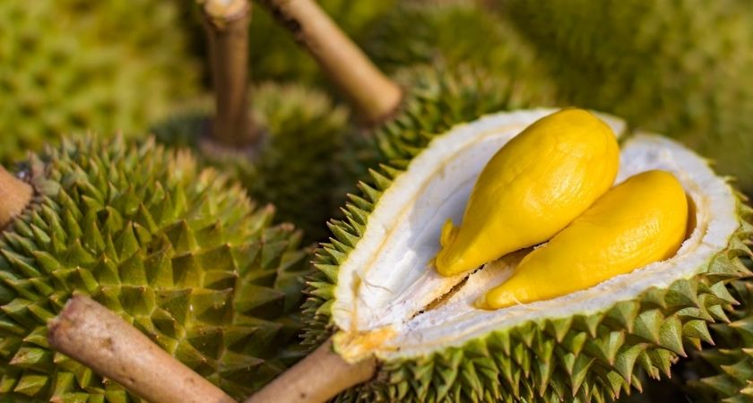 The calories and fat content in durian can lead to uncontrolled weight gain.