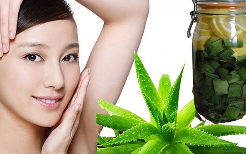 Aloe vera offers numerous benefits for the skin.