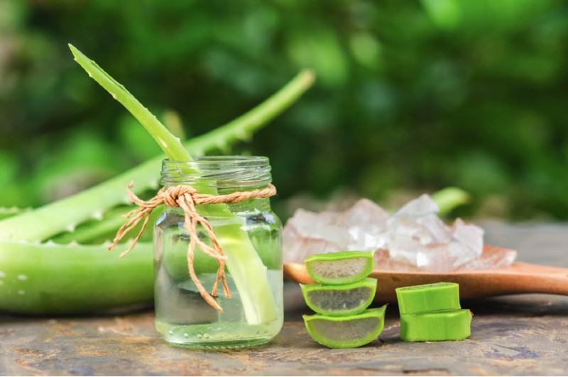 Aloe vera contains many concave scar fillers
