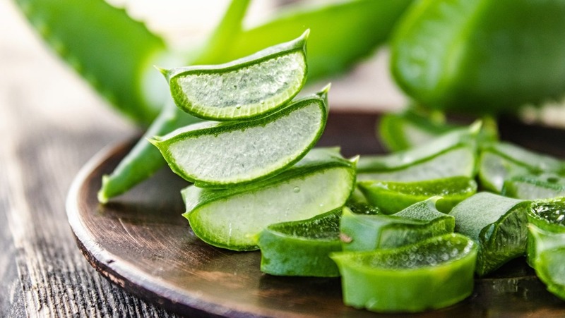 Aloe vera helps heal wounds quickly