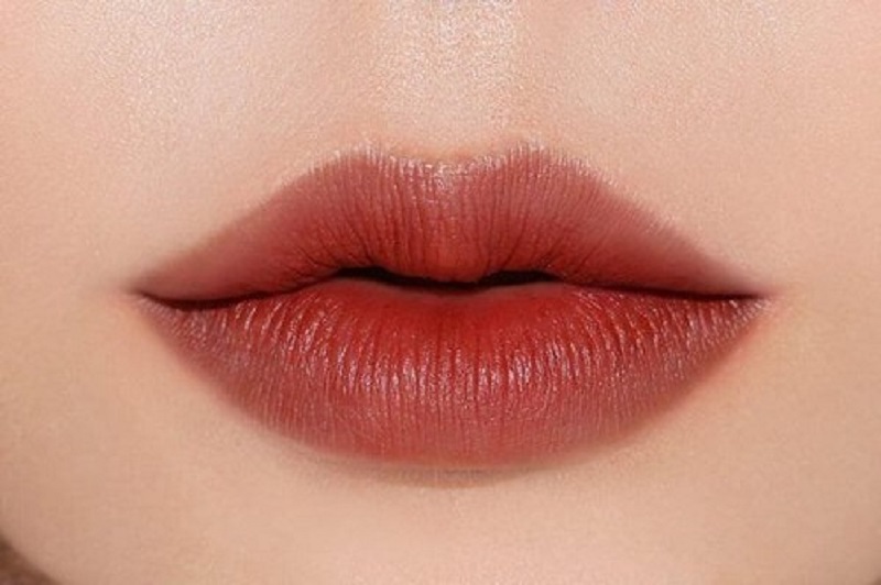 Red-brown lip color exudes elegance and sophistication for women.