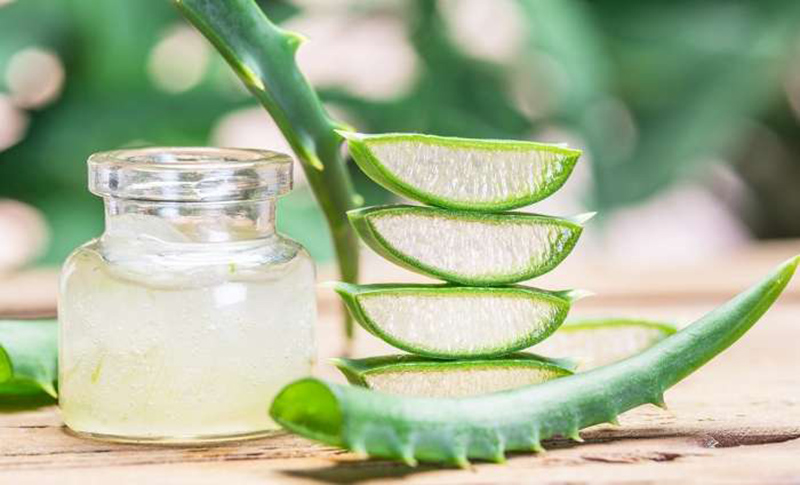 Aloe vera is a natural ingredient that nourishes and smoothens eyelashes, preventing breakage.