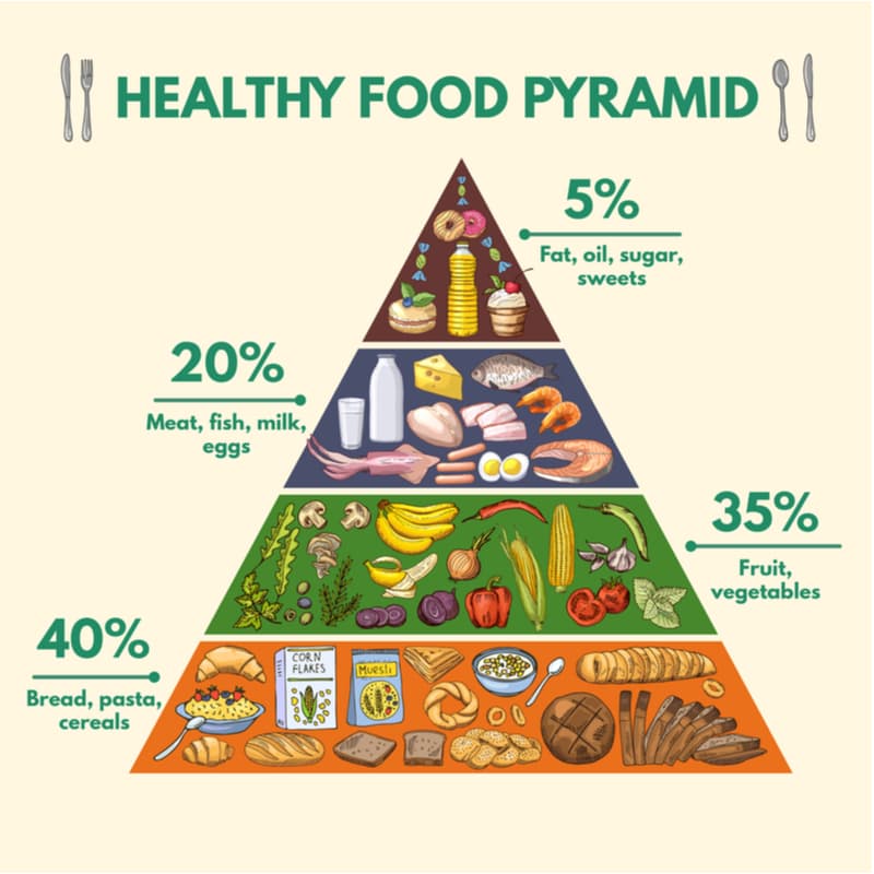 Construct a well-balanced nutrition pyramid.
