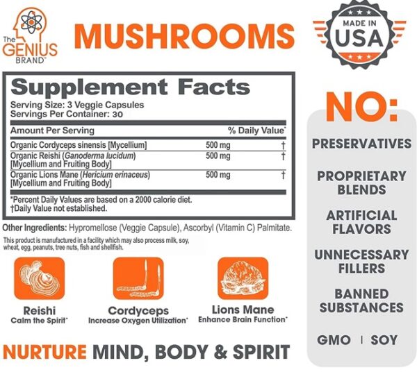 The Genius Brand Genius Mushroom